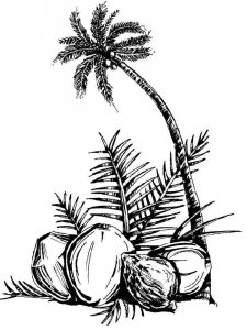 Coconut coloring page 2 - Free printable