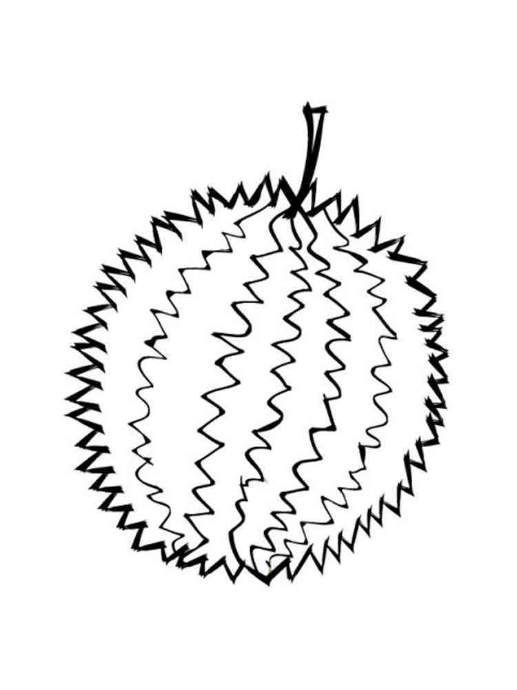 Durian fruits coloring pages 8