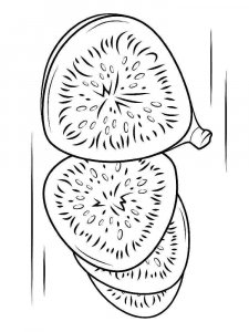 Figs coloring page 7 - Free printable