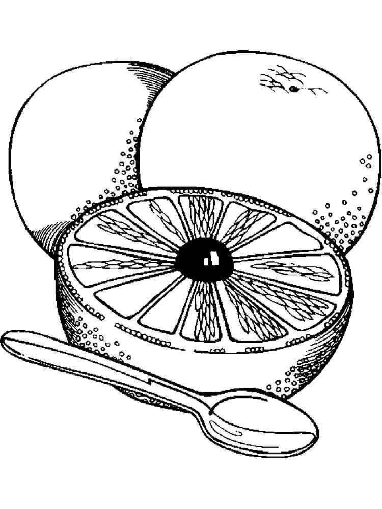 Grapefruit coloring pages. Download and print Grapefruit coloring pages.