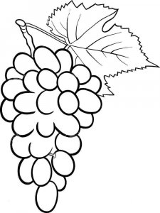 Grape coloring page 3 - Free printable
