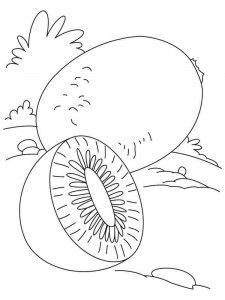 Kiwi coloring page 4 - Free printable