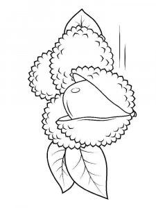 Lychee coloring page 1 - Free printable
