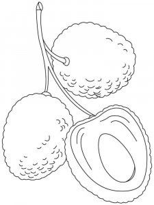 Lychee coloring page 6 - Free printable