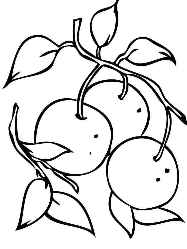 mandarin coloring pages - photo #8