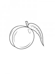 Nectarine coloring page 10 - Free printable