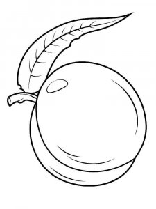 Nectarine coloring page 4 - Free printable