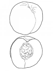 Nectarine coloring page 8 - Free printable