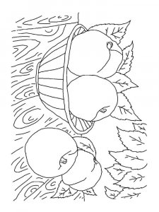 Peach coloring page 14 - Free printable