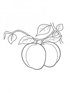 Peach coloring page 16 - Free printable