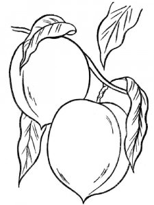 Peach coloring page 1 - Free printable