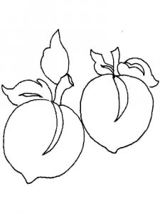 Peach coloring page 11 - Free printable