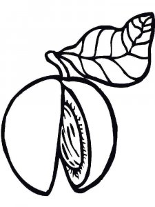 Peach coloring page 12 - Free printable