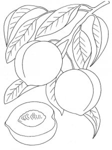 Peach coloring page 2 - Free printable