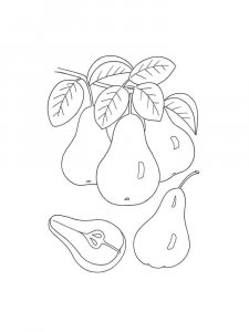 Pear coloring page 1 - Free printable