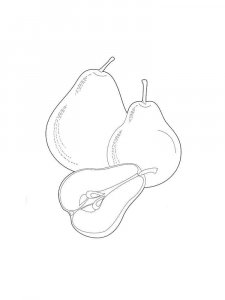 Pear coloring page 7 - Free printable