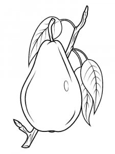 Pear coloring page 28 - Free printable