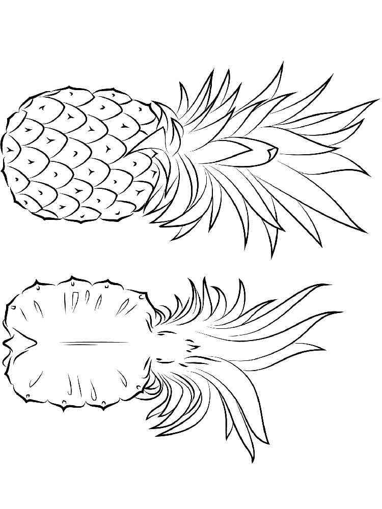 pineapple coloring pages download and print pineapple