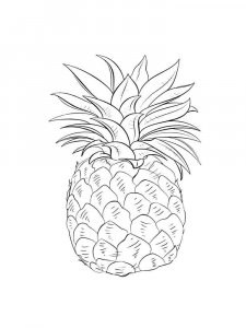 Pineapple coloring page 6 - Free printable