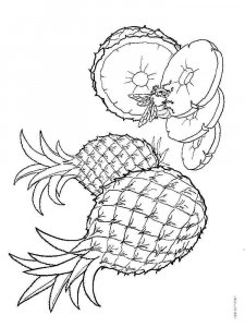 Pineapple coloring page 24 - Free printable