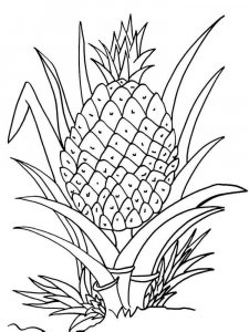 Pineapple coloring page 26 - Free printable