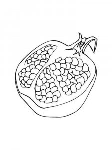 Pomegranate coloring page 2 - Free printable