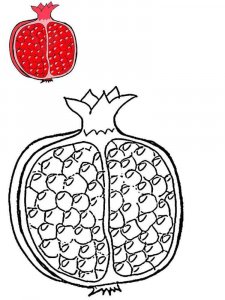 Pomegranate coloring page 19 - Free printable