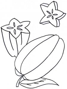 Star fruit coloring page 1 - Free printable