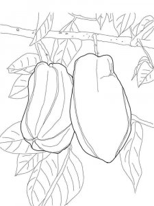 Star fruit coloring page 2 - Free printable