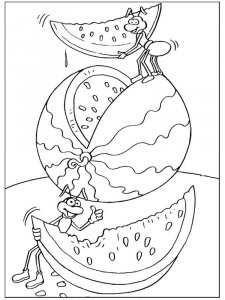 Watermelon coloring page 17 - Free printable