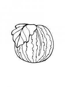 Watermelon coloring page 18 - Free printable