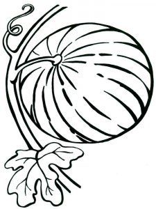 Watermelon coloring page 5 - Free printable