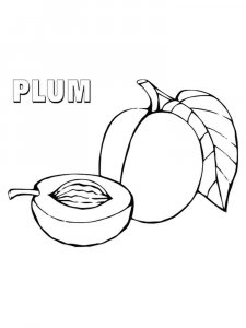 Plum coloring page 10 - Free printable