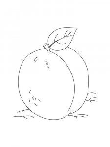 Plum coloring page 8 - Free printable