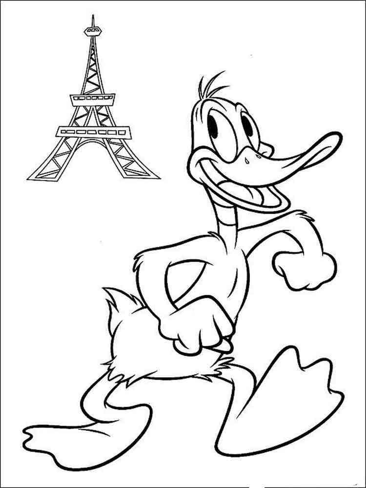 Daffy Duck Coloring Pages Free Printable Duffy Dack 12 Bear