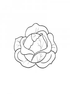 Cabbage coloring page 14 - Free printable