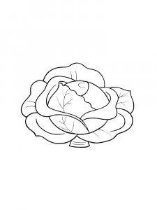 Cabbage coloring page 15 - Free printable