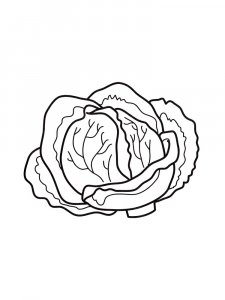 Cabbage coloring page 16 - Free printable