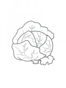 Cabbage coloring page 17 - Free printable