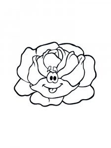 Cabbage coloring page 18 - Free printable