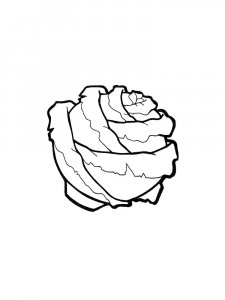 Cabbage coloring page 19 - Free printable