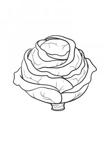 Cabbage coloring page 20 - Free printable
