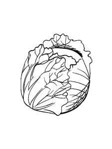Cabbage coloring page 22 - Free printable