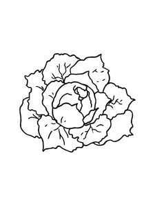 Cabbage coloring page 23 - Free printable