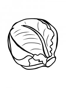 Cabbage coloring page 25 - Free printable