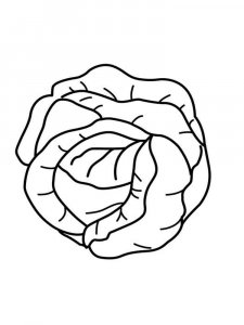 Cabbage coloring page 1 - Free printable