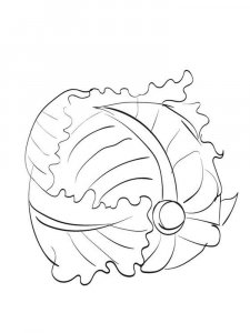 Cabbage coloring page 12 - Free printable