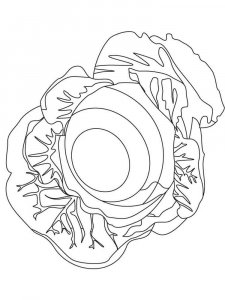 Cabbage coloring page 5 - Free printable