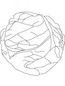 Cabbage coloring page 7 - Free printable