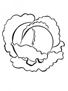 Cabbage coloring page 9 - Free printable